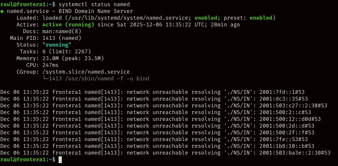 Servicio DNS activado.