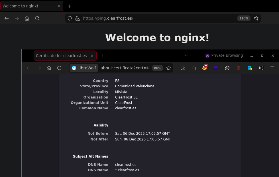 Funcionamiento correcto del certificado TLS.