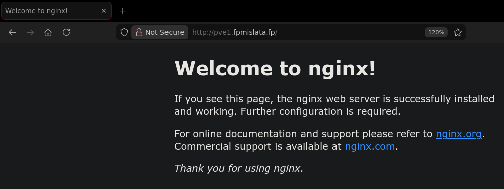 Funcionamiento correcto de nginx.