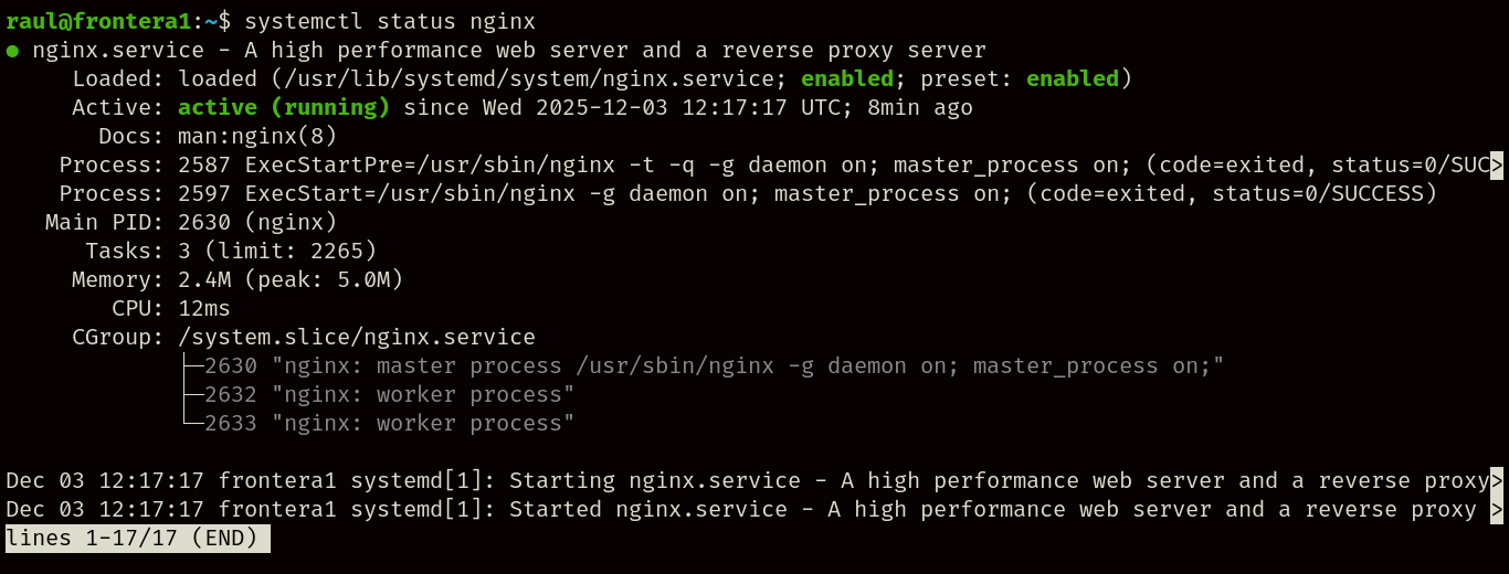 Servicio de nginx activado.